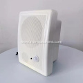 Fine Quality Bluetooth ​Infrared HiFi Wall Speaker